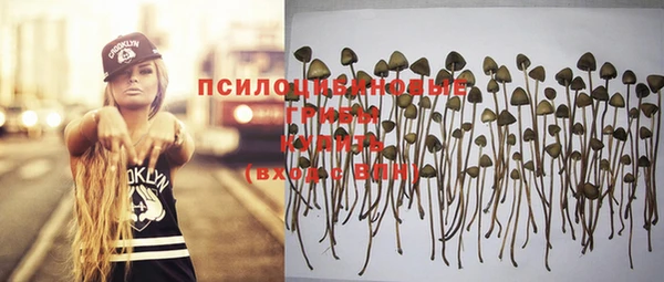 спайс Горно-Алтайск