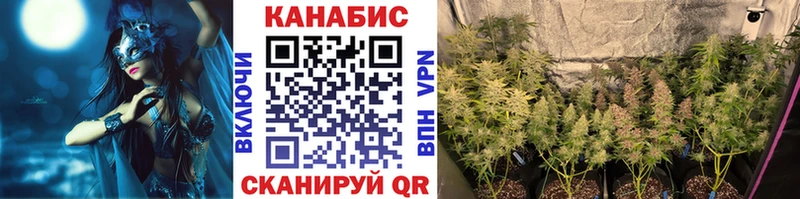 Конопля семена  Купить закладки  Кириши 